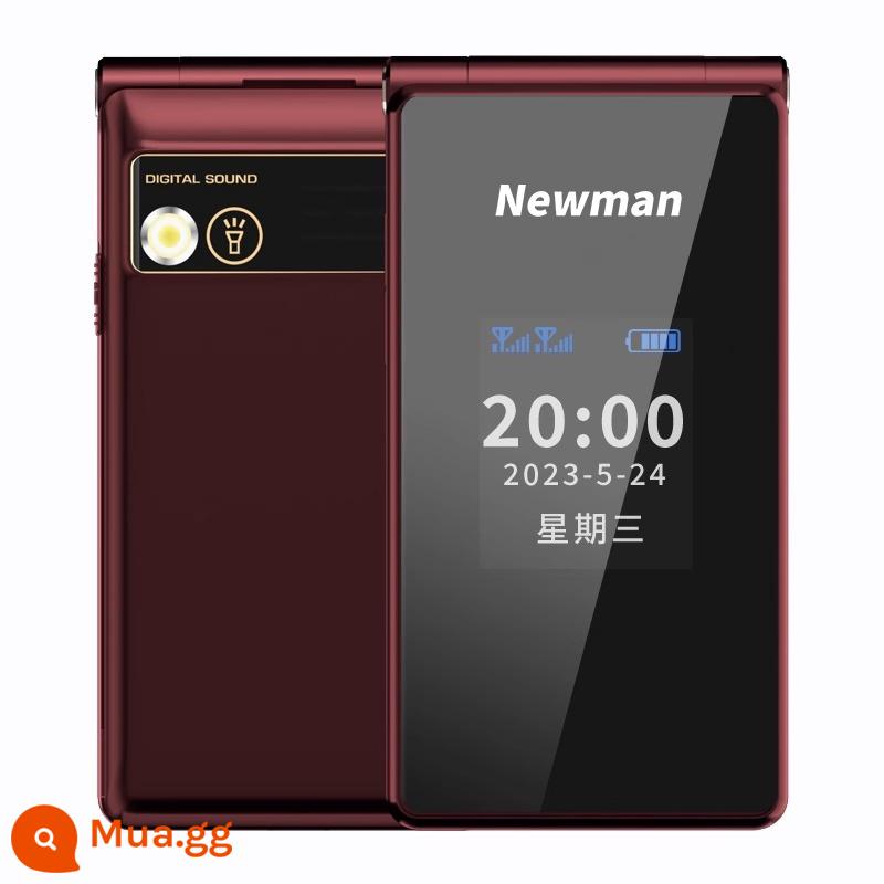 [Flagship Store] Điện thoại vỏ sò hai màn hình Newman F50 cho người già - rượu vang