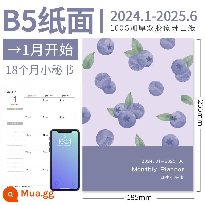 Lịch 2023 notepad công việc thư ký lịch sổ kế hoạch 2023 lịch trình tháng này kế hoạch thẻ đục lỗ sổ tay hiệu quả quản lý thời gian tự giác với sổ ghi chép ngày tháng tùy chỉnh sổ ghi chép - [Giấy trái cây] B5 việt quất (bắt đầu từ tháng 1 năm 2024)