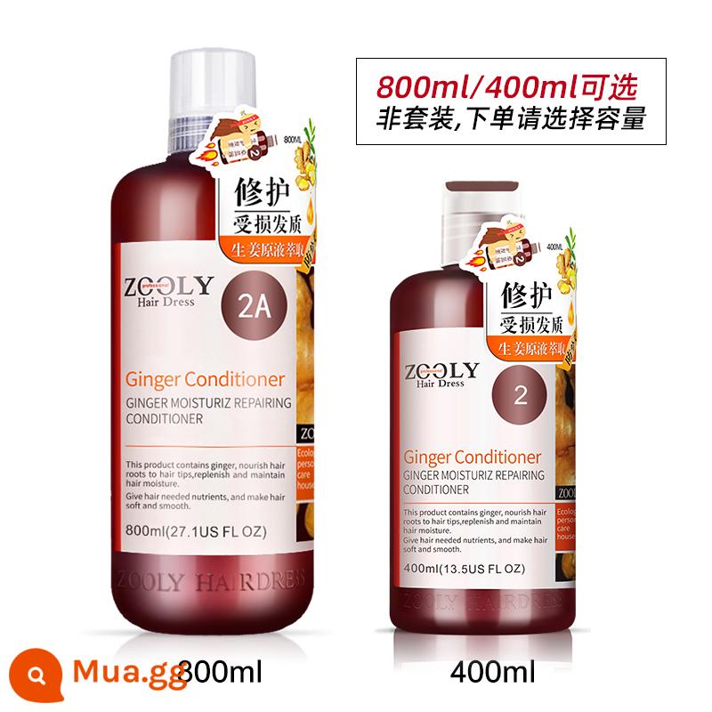 [Dành riêng cho phát trực tiếp] Dầu gội kiểm soát dầu trị gàu không chứa gừng Zhuolanya 400ml, 800ml - dầu xả gừng