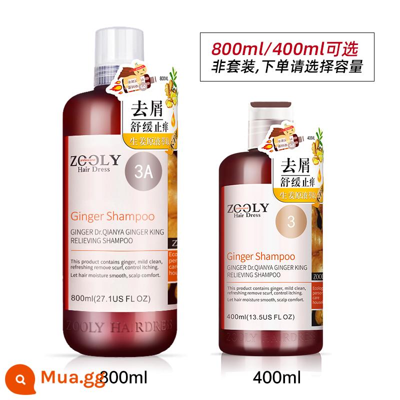 [Dành riêng cho phát trực tiếp] Dầu gội kiểm soát dầu trị gàu không chứa gừng Zhuolanya 400ml, 800ml - Dầu Gội Trị Gàu