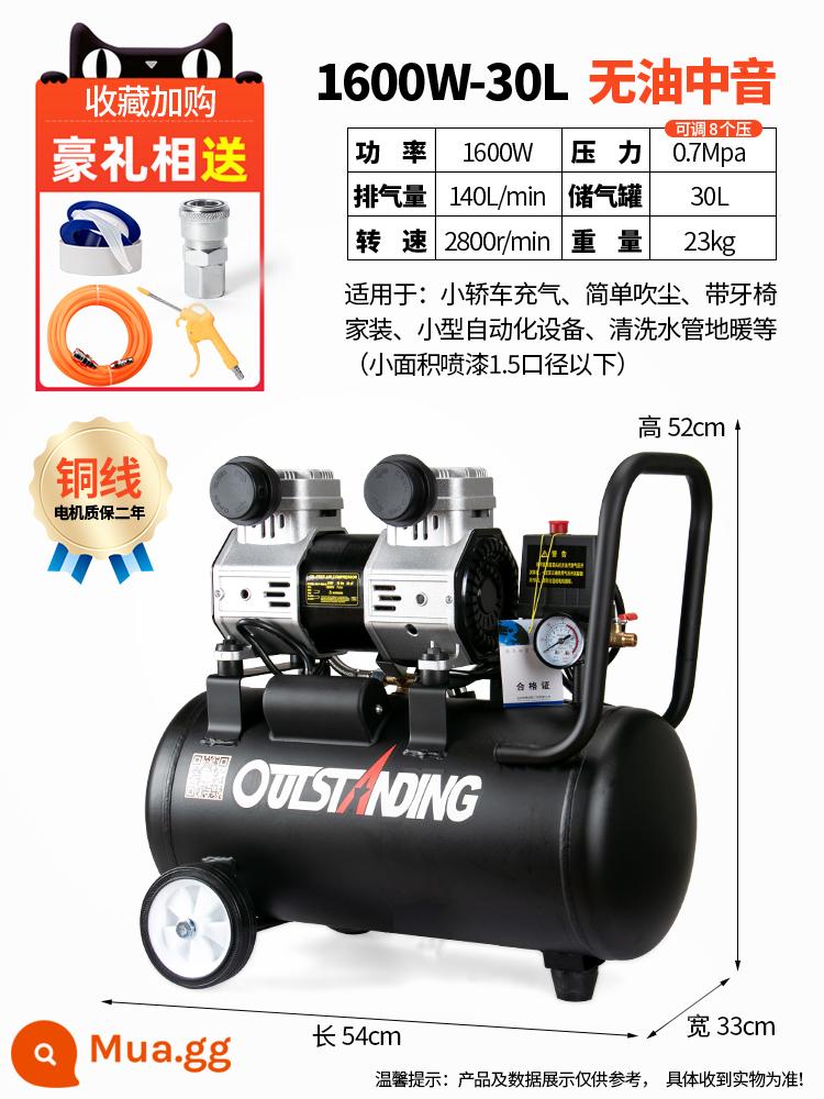 Otus Không Dầu Im Lặng Không Khí 220V Máy Bơm Không Khí Xịt Nhỏ Không Khí Nghề Mộc Trang Trí Máy Bơm Không Khí - Dây đồng S1600W-30L + van điện từ