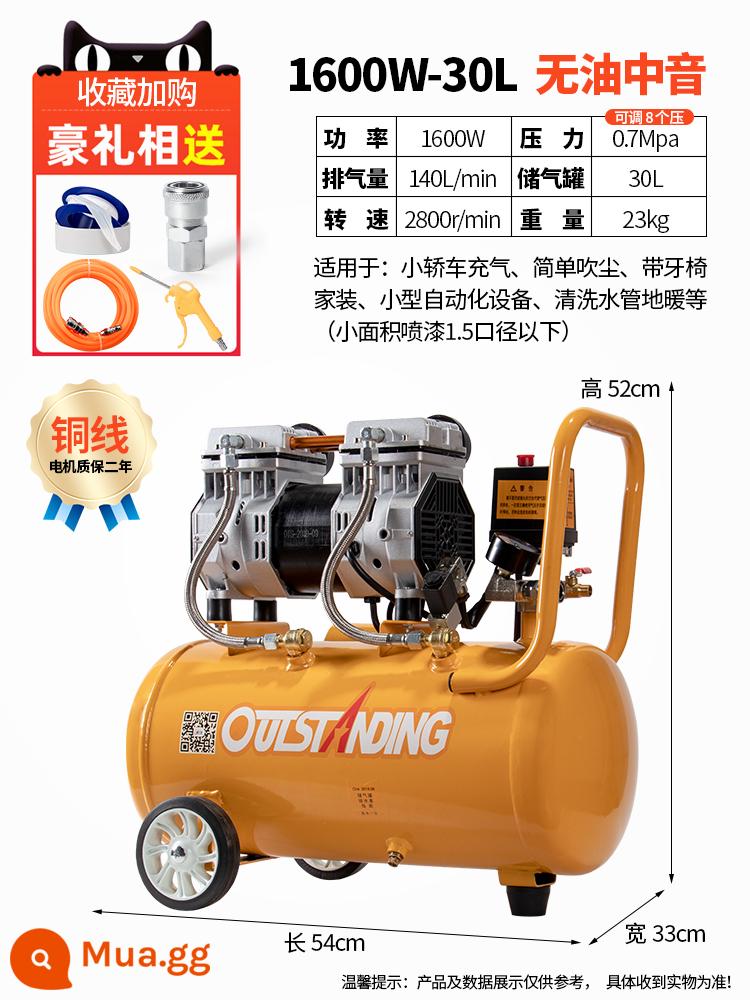 Otus Không Dầu Im Lặng Không Khí 220V Máy Bơm Không Khí Xịt Nhỏ Không Khí Nghề Mộc Trang Trí Máy Bơm Không Khí - Dây đồng 1600W-30L + van điện từ