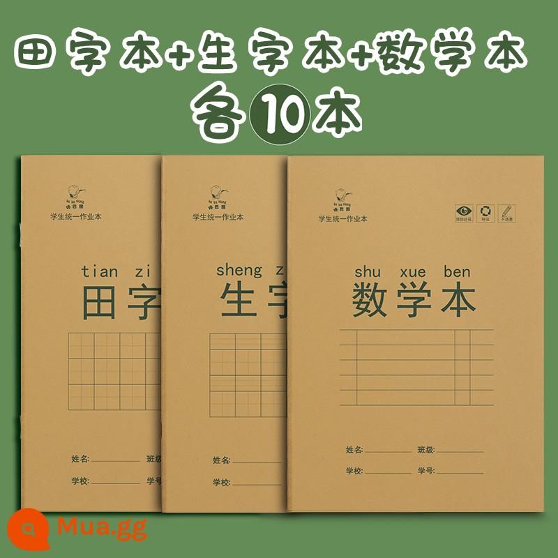 Sách bài tập về nhà cho học sinh tiểu học Sách bính âm matt ngôn ngữ toán tiếng anh lớp 1 và lớp 2 sách từ mới sách bài tập sách thực hành mẫu giáo giấy bảo vệ mắt màu be văn phòng phẩm bán buôn - Sách từ vựng + sách từ mới + sách toán [mỗi cuốn 10 cuốn]