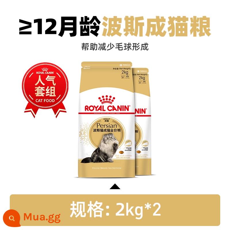 Royal Canin Royal Cat Food Thức ăn cho mèo Ba Tư Chinchilla Exotic Shorthair P30/2KG Cat Staple Food - Thức ăn cho mèo Ba Tư 2kg*2/P30 dành cho mèo trưởng thành (>12 tháng tuổi)