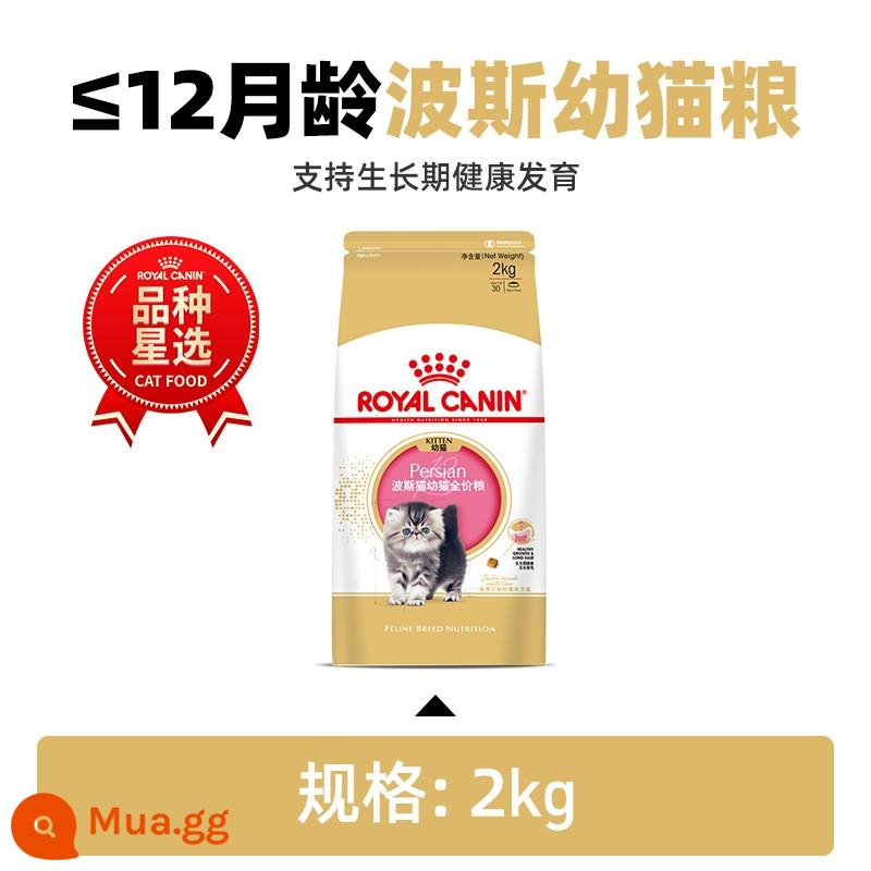 Royal Canin Royal Cat Food Thức ăn cho mèo Ba Tư Chinchilla Exotic Shorthair P30/2KG Cat Staple Food - Thức ăn đặc biệt 2kg/KP32 dành cho mèo Ba Tư (4-12 tháng tuổi)