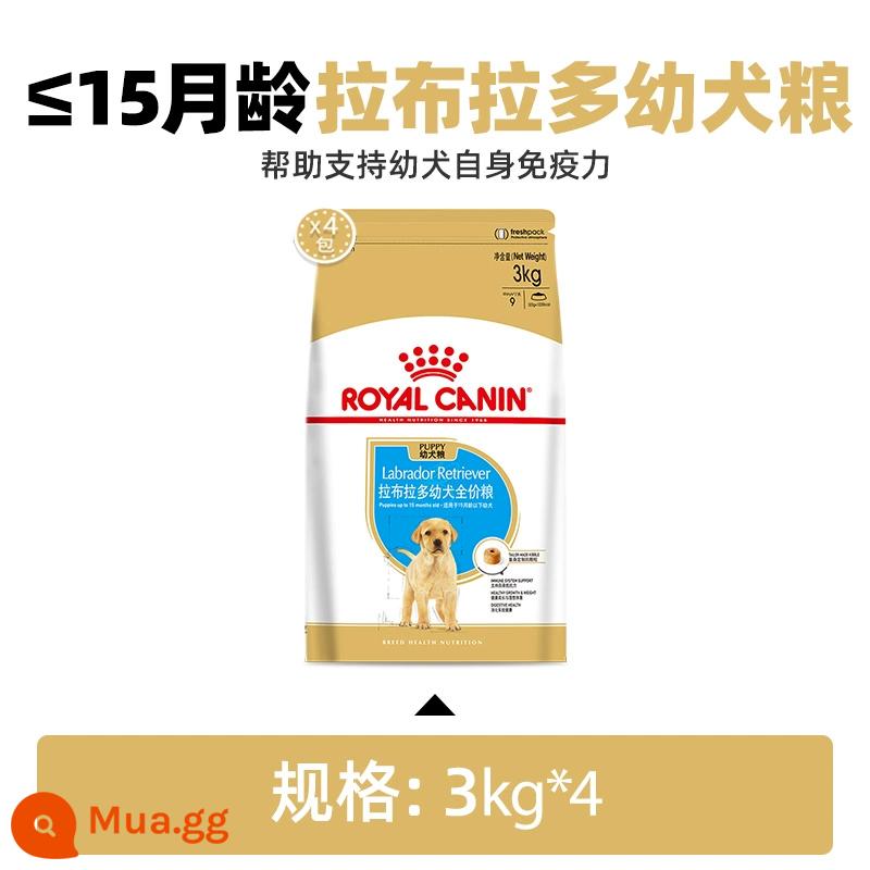 Thức ăn cho chó Royal Canin Royal Thức ăn cho chó Labrador Puppies Thức ăn cho chó trưởng thành Thức ăn cho chó già Thức ăn cho chó lớn Hot New Products - 3kg*4/ALR33 Thức ăn đặc biệt dành cho chó Labrador, đóng gói tươi (<15 tháng tuổi)