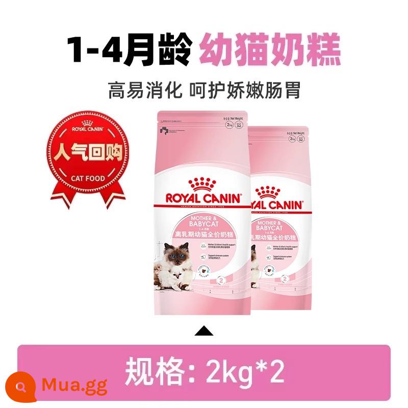 Hạt mèo Hoàng gia Sữa nhỏ Can Kitten Cat Food K36 Cat Milk Bánh BK34 Mang Mang Tách mèo Cai Củ Ca Nuôi mèo Dinh dưỡng - Bánh sữa mèo 1-4 tháng tuổi BK34/2KG*2.