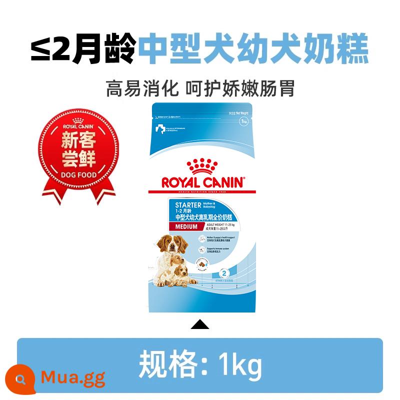 Thức ăn cho chó Hoàng gia Nhỏ Trung bình -Chó con lớn Puppy Grain Universal MIJ31/2KG Teddybiberbobu Store Fall - Bánh sữa dành cho chó cỡ vừa trong giai đoạn cai sữa 2 tháng tuổi MES30/1kg.