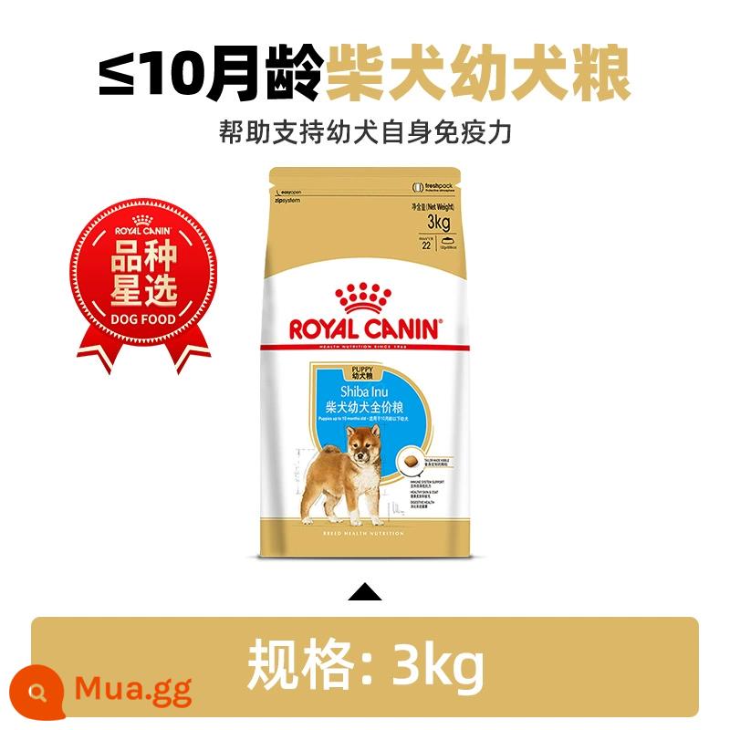 Thức Ăn Cho Chó Royal Shiba Inu Thức Ăn Đặc Biệt Cho Chó Nhỏ Chó Trưởng Thành Con Chó Con Giá Đầy Đủ Thức Ăn Cho Chó SIJ29 SIA26 - Thức ăn đặc biệt dành cho chó Shiba Inu từ tháng 2 đến tháng 10 SIJ29/3kg