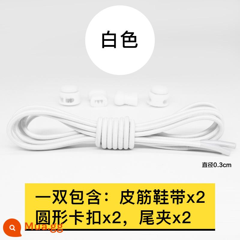 Khóa dây giày dây cao su đóng gói đôi giày thể thao dây giày lười trẻ em dành cho nam và nữ không bó buộc và không co giãn vòng tròn màu đàn hồi - Trắng-(2 cặp dây cao su)