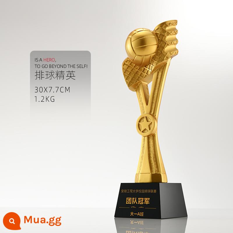 Cúp bóng rổ trò chơi trẻ em tùy chỉnh trò chơi bóng đá mvp sáng tạo giải vô địch ngôi sao năm cánh chữ giải thưởng - Bóng chuyền ưu tú [30*7.7CM]