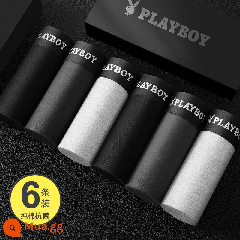 Playboy Quần Lót Nam Nam Cotton Nguyên Chất Kháng Khuẩn 100% Cotton Thu Đông Bé Trai Boxer Vuông Quần Short Đầu Mùa Đông - [Mua 1 tặng 1] Đen ★ 2 Xám đậm ★ 2 Xám nhạt ★ 2 [Khôi phục ngày mai với giá 119 nhân dân tệ]