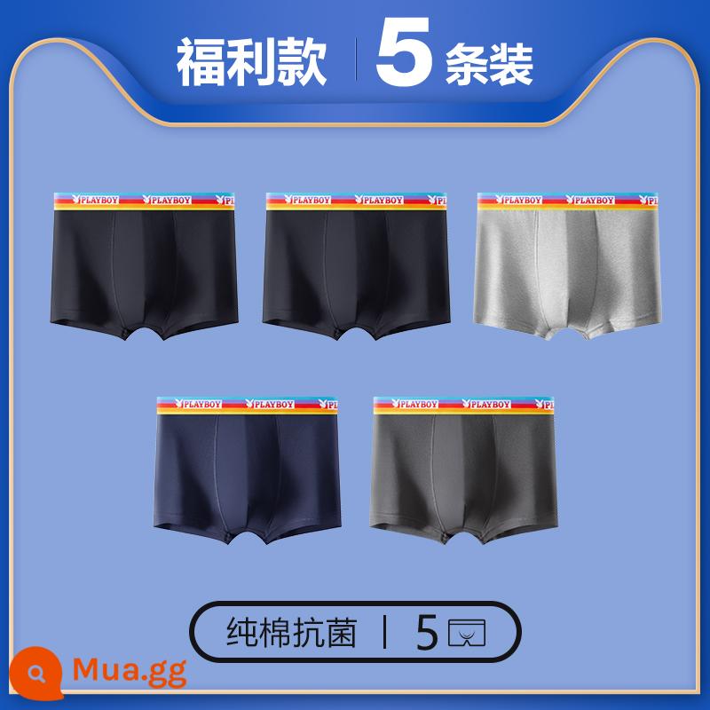 Quần lót Playboy bé trai cotton nguyên chất 100% cotton quần boxer nam quần boxer nam quần an toàn mùa thu đông - 5 gói [Thắt lưng màu★Kháng khuẩn và Chống ve bét] Đen 2★Đậm★Nhạt★Xanh hải quân