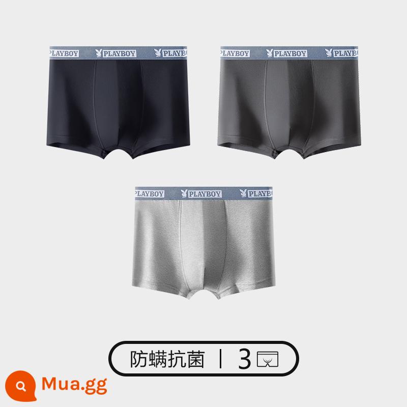 Quần lót Playboy bé trai cotton nguyên chất 100% cotton quần boxer nam quần boxer nam quần an toàn mùa thu đông - 3 gói [đai xanh] [kháng khuẩn và chống mạt] đen + xám đậm + xám nhạt