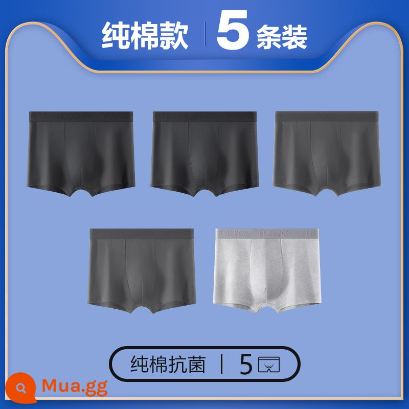 Quần lót Playboy bé trai cotton nguyên chất 100% cotton quần boxer nam quần boxer nam quần an toàn mùa thu đông - 5 gói [cotton nguyên chất kháng khuẩn ★ bao bì độc lập được nâng cấp] đen ★ 2 xám đậm ★ 2 xám nhạt ★ 1