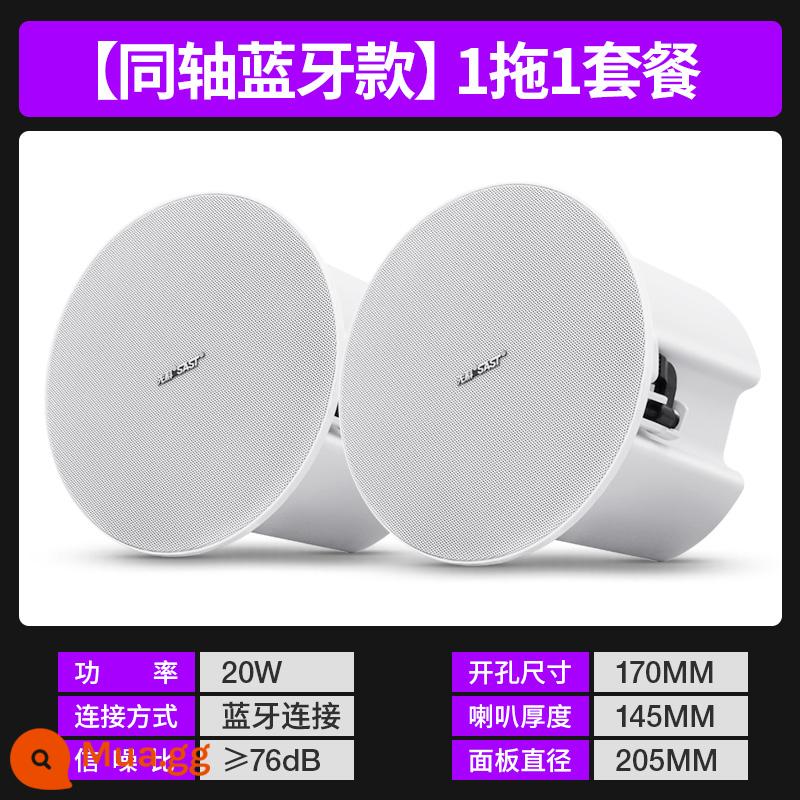 Xianke Giọng nói thông minh không dây Bluetooth Trần phát sóng âm thanh Loa trần treo Loa trần Nhúng trong nhà Nhà thương mại Phòng khách đặc biệt Xung quanh trung tâm mua sắm Nền cửa hàng Phòng ăn âm nhạc - [Mẫu Bluetooth] Loa chính đồng trục + 1 loa phụ đồng trục