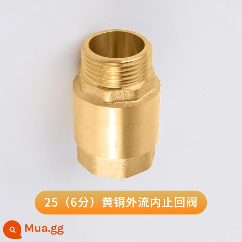 Van kiểm tra ngang bằng đồng Tianyi Taurus PPR kết nối trực tiếp kép 4 điểm 6 điểm Van một chiều van kiểm tra 1 inch - Van một chiều bên trong DN20 (6 điểm) 180g