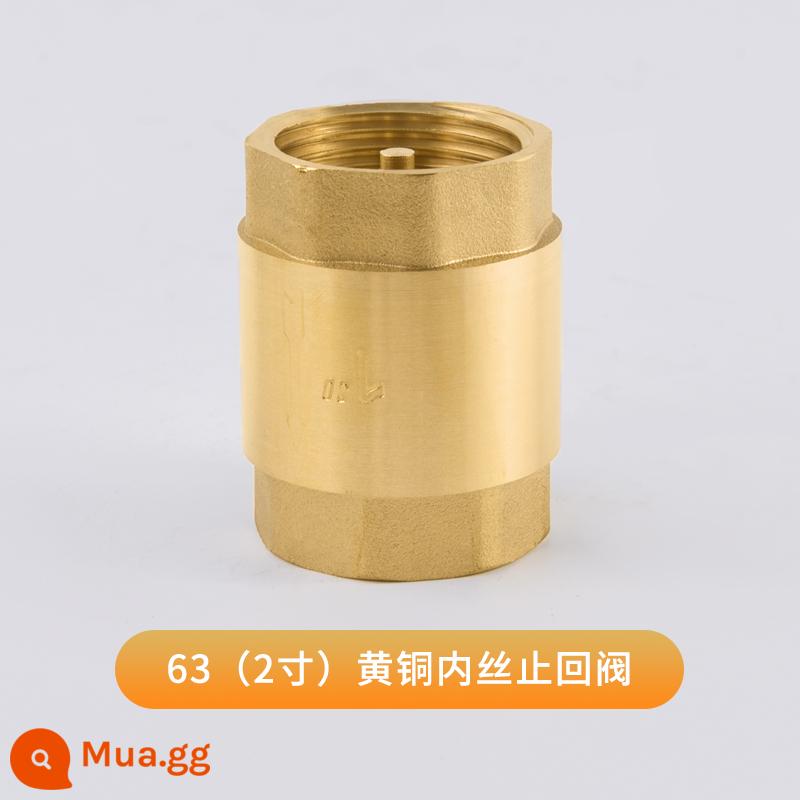 Van kiểm tra ngang bằng đồng Tianyi Taurus PPR kết nối trực tiếp kép 4 điểm 6 điểm Van một chiều van kiểm tra 1 inch - Van một chiều dây bên trong DN50 (2 inch) 700g