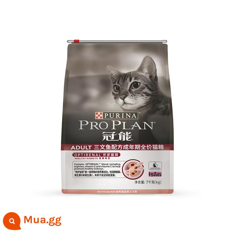 Thức ăn cho mèo Guaneng 7kg vào phòng mèo đầy đủ -price quần áo ngắn của Anh Puppet Salmon Formula mèo con - Thức ăn công thức cá hồi 7kg