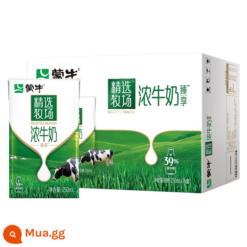 [Khuyến nghị] Sữa đặc Mengniu Zhenxiang 250ml×16 hộp/Future Star Hương dâu 180mL*16 chai - Sữa đặc Zhenxiang 250mL*16 hộp