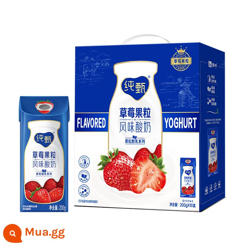 [Khuyến nghị] Date Fresh Mengniu Pure Milk/Xinyangdao/Sữa ăn sáng/Zhenguo Li/Future Star - Hương Dâu Nguyên Chất 10 hộp