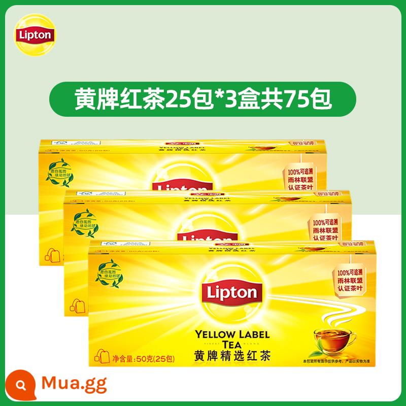 Trà đen Lipton thẻ vàng 25 gói lá trà xanh ủ trà lài Trà Lipton túi lọc trà thảo mộc trà túi lọc nước - Trà đen nhãn hiệu vàng 25 túi*3 hộp