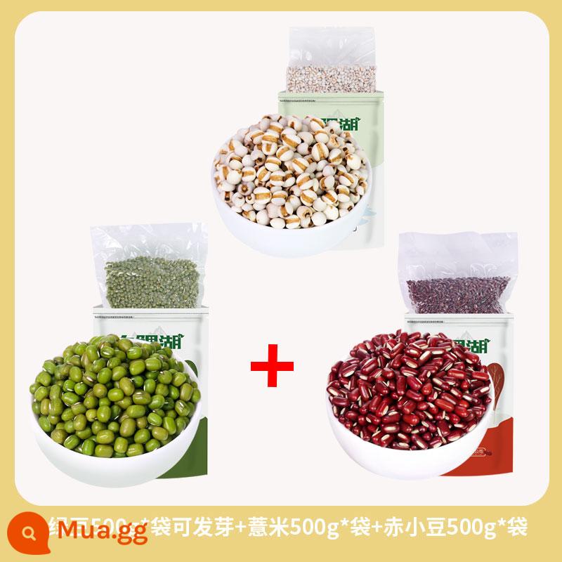 Mua 4 tặng 1 Đậu xanh Catty đóng gói chân không Jiuli Lake Fresh Farm Đậu xanh dạng hạt và dầu hạt đầy thịt và vỏ mỏng 500g - [Đóng gói chân không] Tổng cộng 3kg/đậu đỏ/đậu xanh/lúa mạch