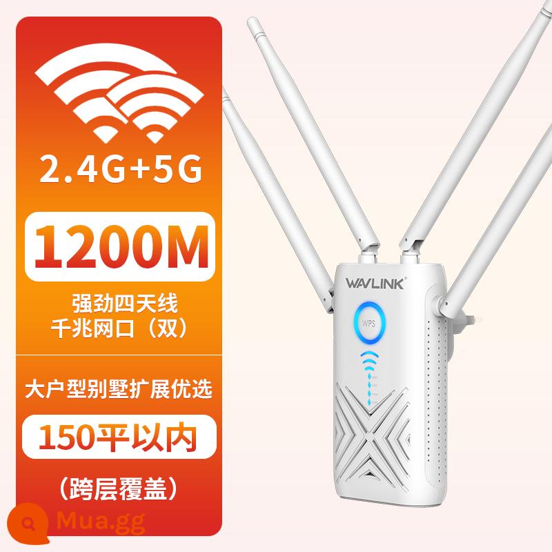 [Tùy chọn SF] Bộ khuếch đại tín hiệu WiFi Ruiyin Bộ khuếch đại tăng cường tín hiệu Gigabit 5G tần số kép Bộ lặp mở rộng mạng 1200M Bộ định tuyến mạng không dây cổng mạng kép tại nhà - Mô hình nâng cao 1200M + giao diện mạng Gigabit*2 + vùng phủ sóng diện tích lớn