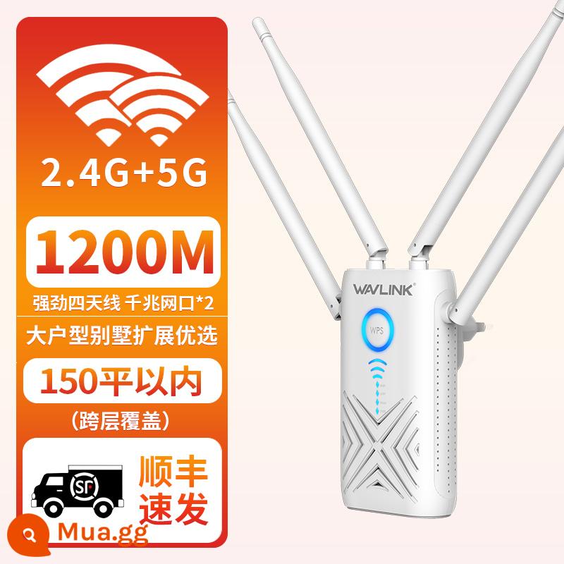 [Tùy chọn SF] Bộ khuếch đại tín hiệu WiFi Ruiyin Bộ khuếch đại tăng cường tín hiệu Gigabit 5G tần số kép Bộ lặp mở rộng mạng 1200M Bộ định tuyến mạng không dây cổng mạng kép tại nhà - [SF Express] Mô hình nâng cao 1200M + giao diện mạng Gigabit*2 + vùng phủ sóng diện tích lớn