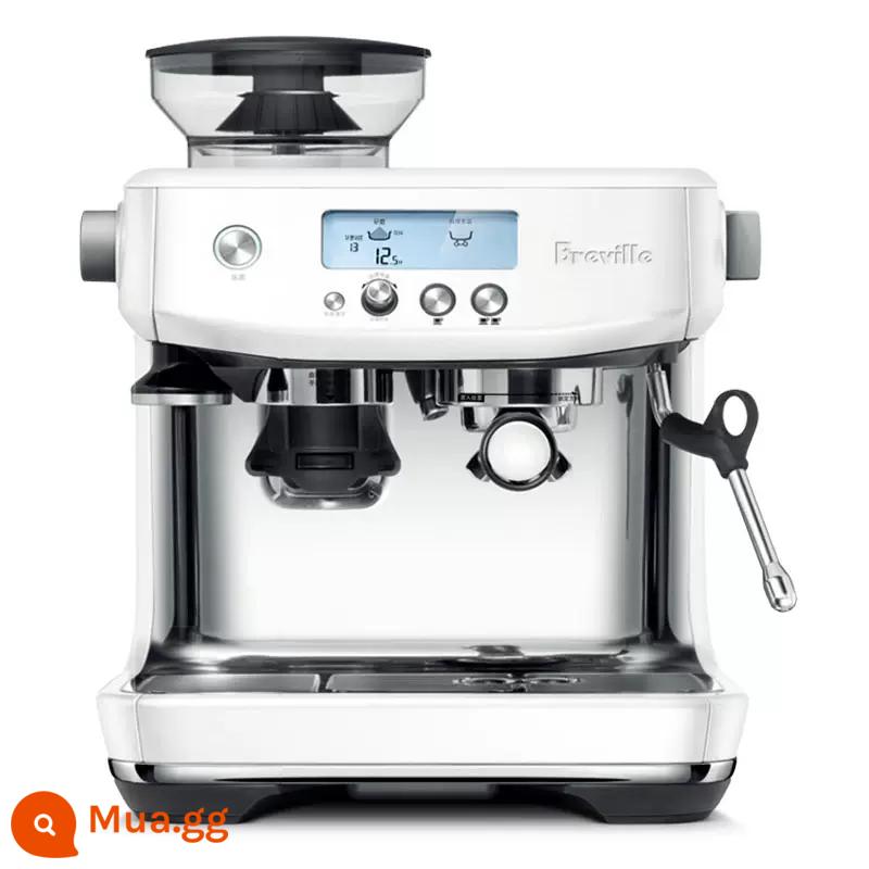 Ngân hàng Quốc gia Platinum Breville BES878 Máy pha cà phê hơi nước Ý bán tự động gia đình xay đậu và bọt sữa 870 - [Bảo hành trái phiếu 2 năm] BES 878 Muối biển trắng da trần