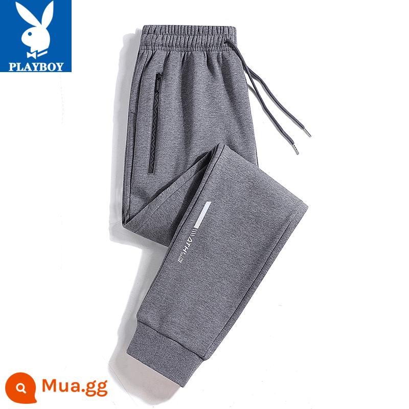 Quần Playboy nam xuân thu cotton nguyên chất thường ngày cỡ lớn quần legging thể thao 2023 quần thể thao rộng rãi và đa năng - Bàn chân buộc màu xám [mùa xuân và mùa thu]