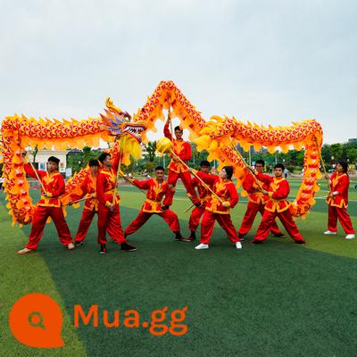 Đạo cụ biểu diễn múa rồng, đèn lồng rồng, rồng ánh sáng chín đoạn, múa rồng dành cho người lớn và trẻ em, múa sư tử, trang phục đầu rồng bằng vải - Mục 9 [Số 3] Cloron vàng