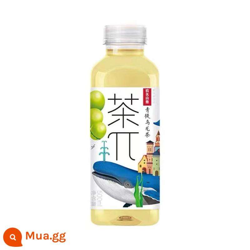 Bánh trà mùa xuân núi Nongfu 500ml * 10 chai trà uống nước ép bánh trà ô long đào chanh bưởi vải thiều - 500ml*10 chai Trà Ô Long Qingti