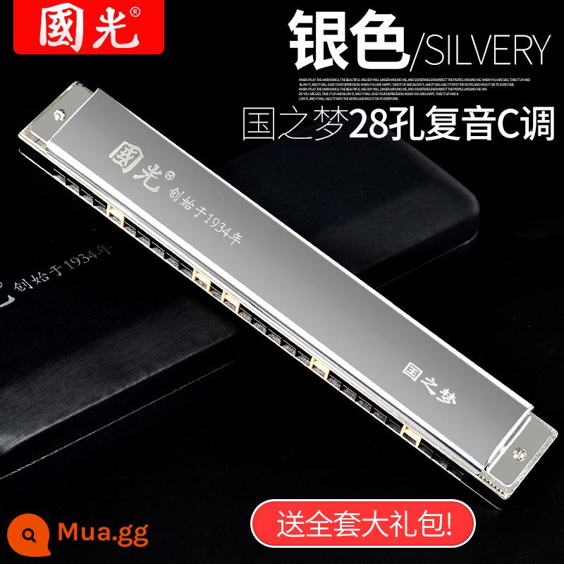 Harmonica Guoguang 24/28 lỗ đa âm giọng c-tuned phạm vi rộng đàn organ cho người mới bắt đầu nhập cảnh sinh viên biểu diễn chuyên nghiệp - Cấp hiệu suất/Giấc mơ quốc gia đa âm 28 lỗ bạc phát sóng rộng đi kèm trọn bộ quà tặng