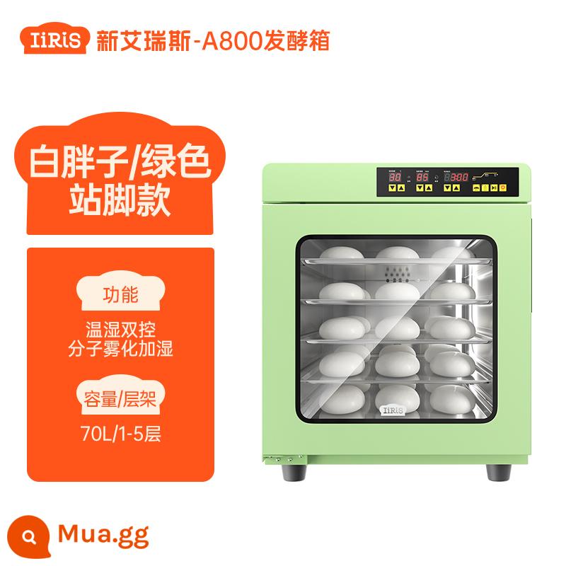 ERIS A800 White Fatty Bakery Bakery Home Thương mại nhỏ hemoton Bread Box Box Box Intelligence - Giá đỡ a800 màu xanh lá cây + 2 chảo nướng có thể nâng cấp với giá 30 nhân dân tệ