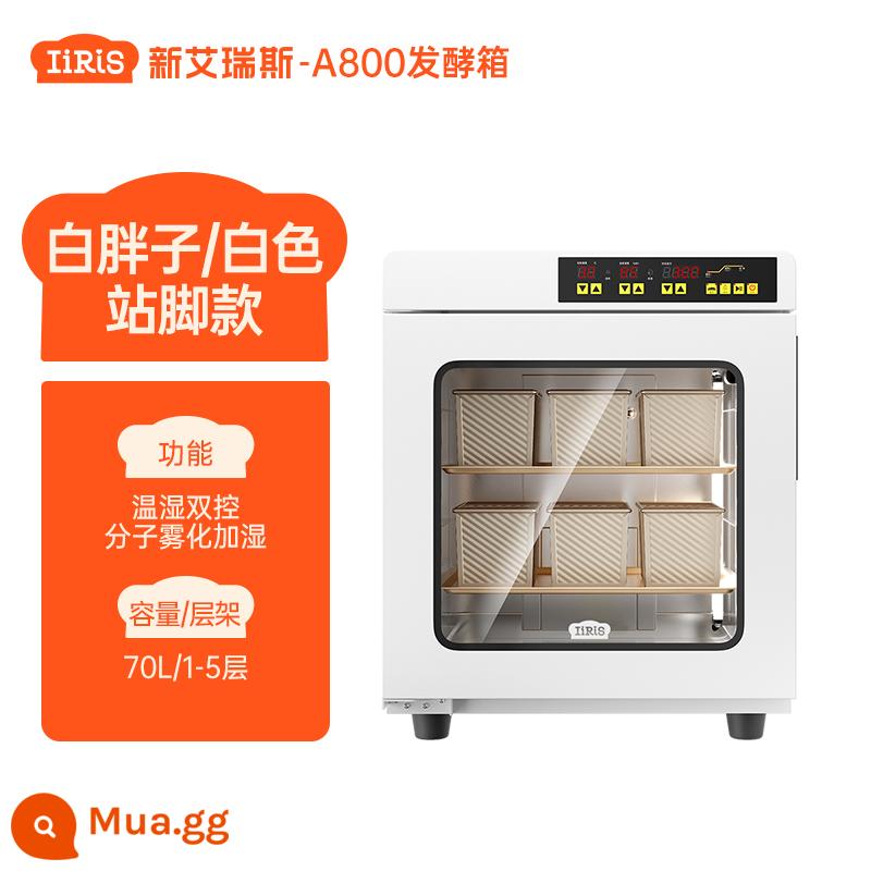 ERIS A800 White Fatty Bakery Bakery Home Thương mại nhỏ hemoton Bread Box Box Box Intelligence - Chân đế A800 màu trắng + 2 chảo nướng có thể nâng cấp với giá 30 nhân dân tệ