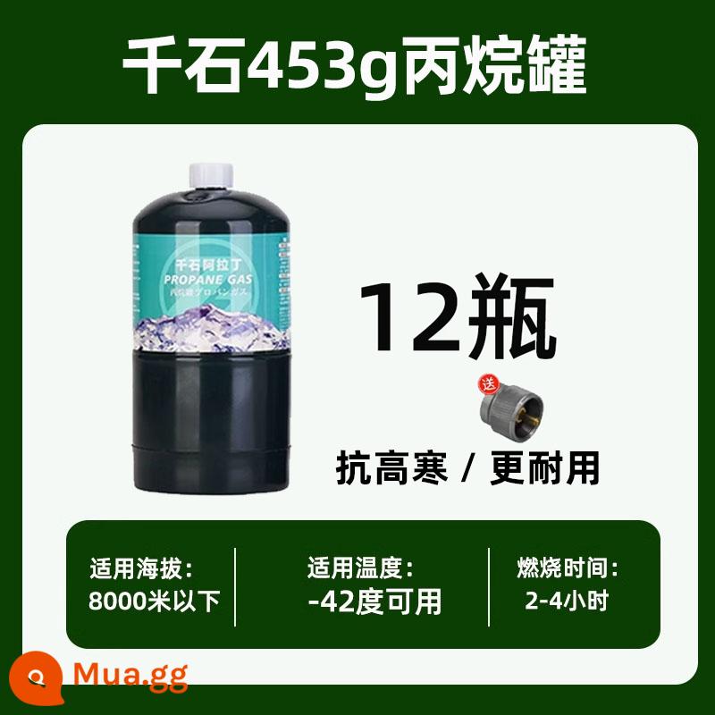 Chống cháy nổ bình gas propan Gute tự giải phóng GAS bếp ngoài trời đốt anh em BRS cắm trại cao nguyên núi cao bình gas phẳng - Chai Qianshi Propane 453g*12 đi kèm với bộ chuyển đổi