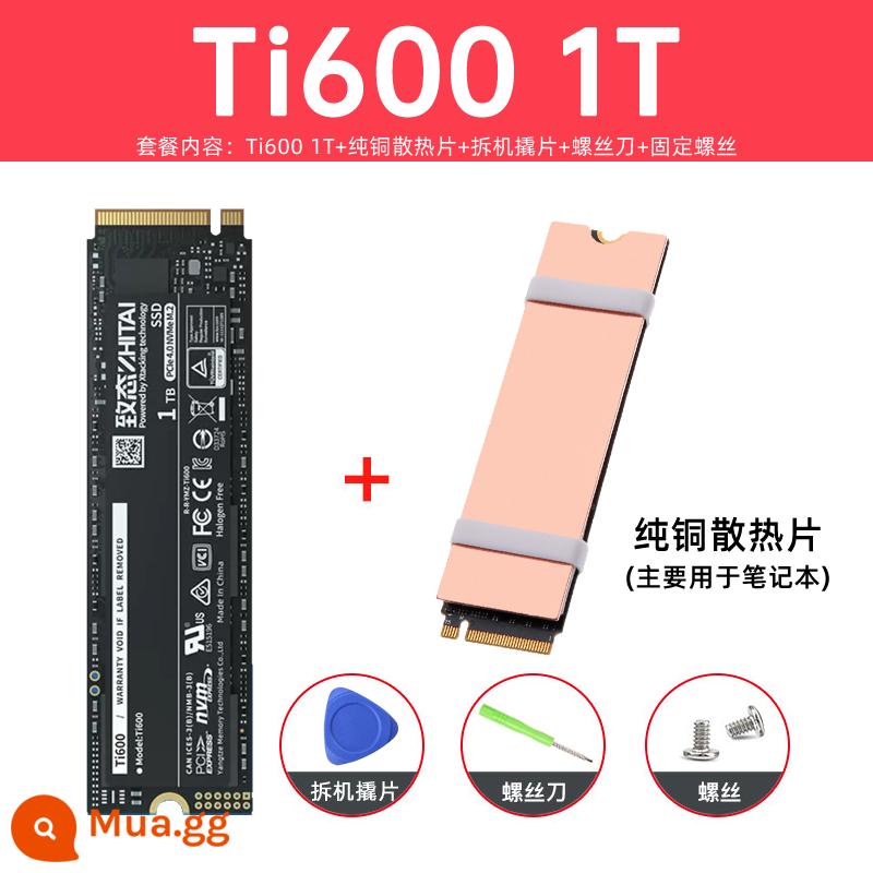 Ổ cứng thể rắn Zhidati tiplus7100 1T 2TB Zhidati tiplus5000 PCIe4.0 Lưu trữ sông Dương Tử M2 - [Notebook] Ti600 1T [PCE-4.0 mới] + Tặng kèm tản nhiệt đồng nguyên chất