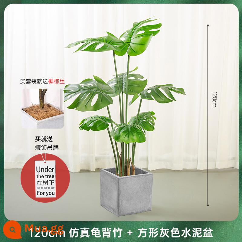 Ánh Sáng Bắc Âu Cao Cấp Mô Phỏng Monstera Tre Lớn Trong Nhà Phòng Khách Tầng-Đứng Nhà Cảnh Quan Chậu Cây Xanh Trang Trí Trang Trí - Khoai môn rùa 1,2 triệu - nồi vuông xám, dừa lụa nâu miễn phí