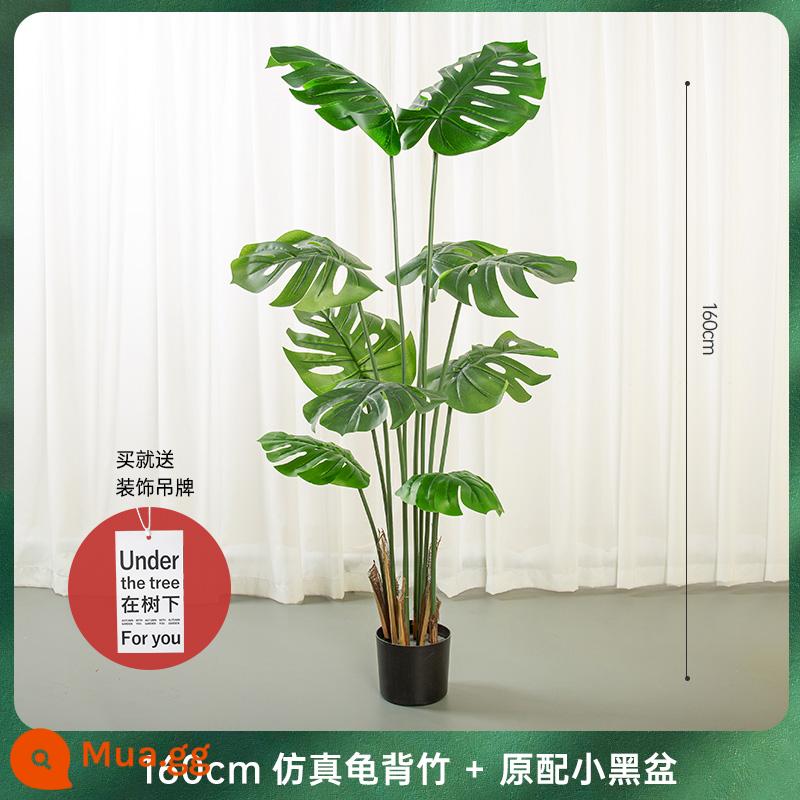 Ánh Sáng Bắc Âu Cao Cấp Mô Phỏng Monstera Tre Lớn Trong Nhà Phòng Khách Tầng-Đứng Nhà Cảnh Quan Chậu Cây Xanh Trang Trí Trang Trí - Chậu khoai môn rùa 1,6M nhỏ màu đen có thẻ dưới gốc cây