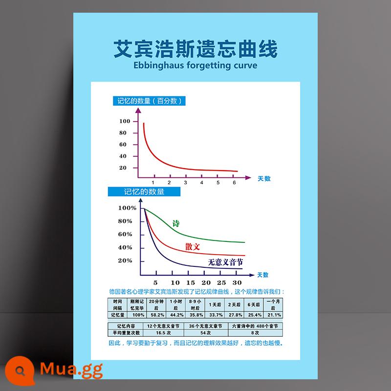 Bảng mức năng lượng Hawkins treo tường biểu đồ dán tường tự dính mức độ cảm xúc sức khỏe tâm thần kiến thức poster lớn treo tường biểu đồ - 2-22[Đường cong quên lãng Ebbinghaus]