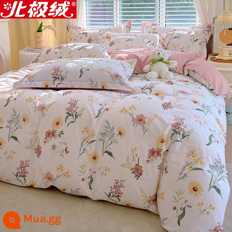 Nhung Bắc Cực Giường Bốn Bộ Cotton Nguyên Chất 100 Tờ Vỏ Chăn 3 Trang Bị Tấm Đơn Giản Chăn Ga Gối Mùa Đông 4 - Thất Nhu