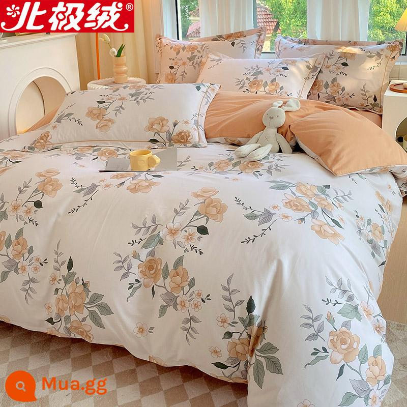 Nhung Bắc Cực Giường Bốn Bộ Cotton Nguyên Chất 100 Tờ Vỏ Chăn 3 Trang Bị Tấm Đơn Giản Chăn Ga Gối Mùa Đông 4 - Anita