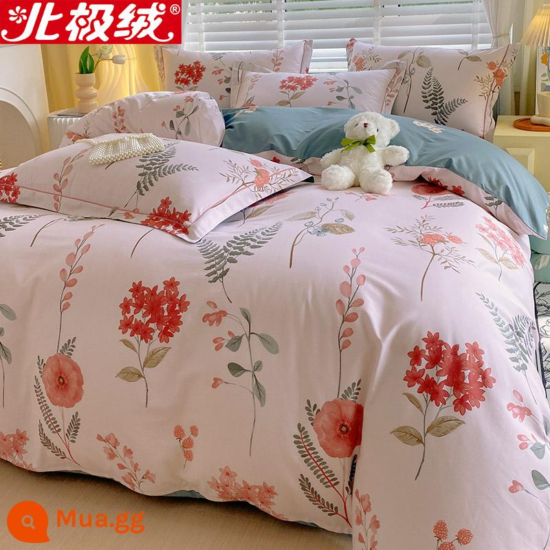 Nhung Bắc Cực Giường Bốn Bộ Cotton Nguyên Chất 100 Tờ Vỏ Chăn 3 Trang Bị Tấm Đơn Giản Chăn Ga Gối Mùa Đông 4 - quý cô hồng