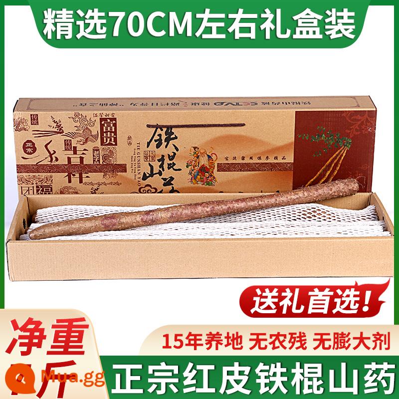 Jiaozuo Wenxian thịt gà xương đen da đỏ thanh sắt yam Hà Nam Hoài Sơn đặc sản lõi sắt 5 catties tươi và chính hiệu Hoài Sơn - [Hộp quà 7 catties] Chất lượng tối cao khoảng 70cm 15 năm trồng trọt