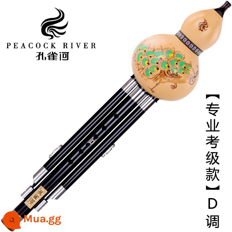 Peacock River gỗ gụ gỗ mun bầu lụa người lớn học sinh mới bắt đầu c-b điều chỉnh kiểm tra chứng chỉ chuyên nghiệp loại hiệu suất GF D điều chỉnh - [Mô hình thi chứng chỉ chuyên nghiệp] Đám mây tốt lành đầy màu sắc Minor D + Gói quà tặng