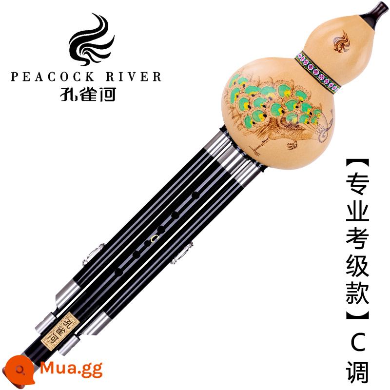 Peacock River gỗ gụ gỗ mun bầu lụa người lớn học sinh mới bắt đầu c-b điều chỉnh kiểm tra chứng chỉ chuyên nghiệp loại hiệu suất GF D điều chỉnh - [Mô hình thi chứng chỉ chuyên nghiệp] Đám mây tốt lành đầy màu sắc Giai điệu C + Gói quà tặng