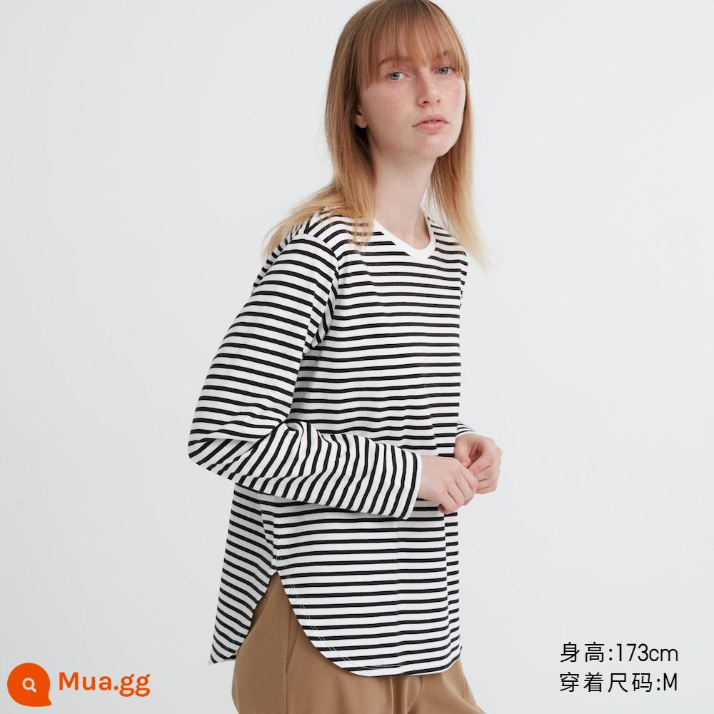 Uniqlo nữ cotton mềm viền cong viền cổ tròn dài tay nữ tính 466731 - 466731/01 màu trắng sữa