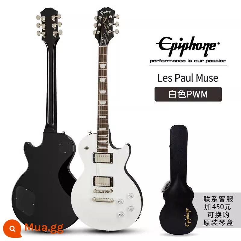 Epiphone Les Paul Standard 50S/Modern Figured Electric Guitar thập niên 60 - Musewhite