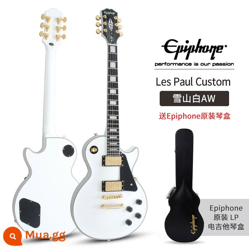 Epiphone Les Paul Standard 50S/Modern Figured Electric Guitar thập niên 60 - AW tùy chỉnh